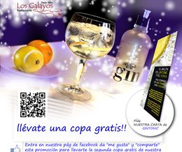 cartel de gintonic