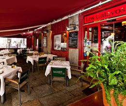 Terraza-interior-Los-Galayos