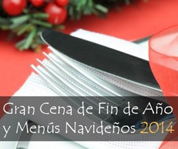 Nochevieja-navidad_web